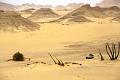 egypte desert libyque 29